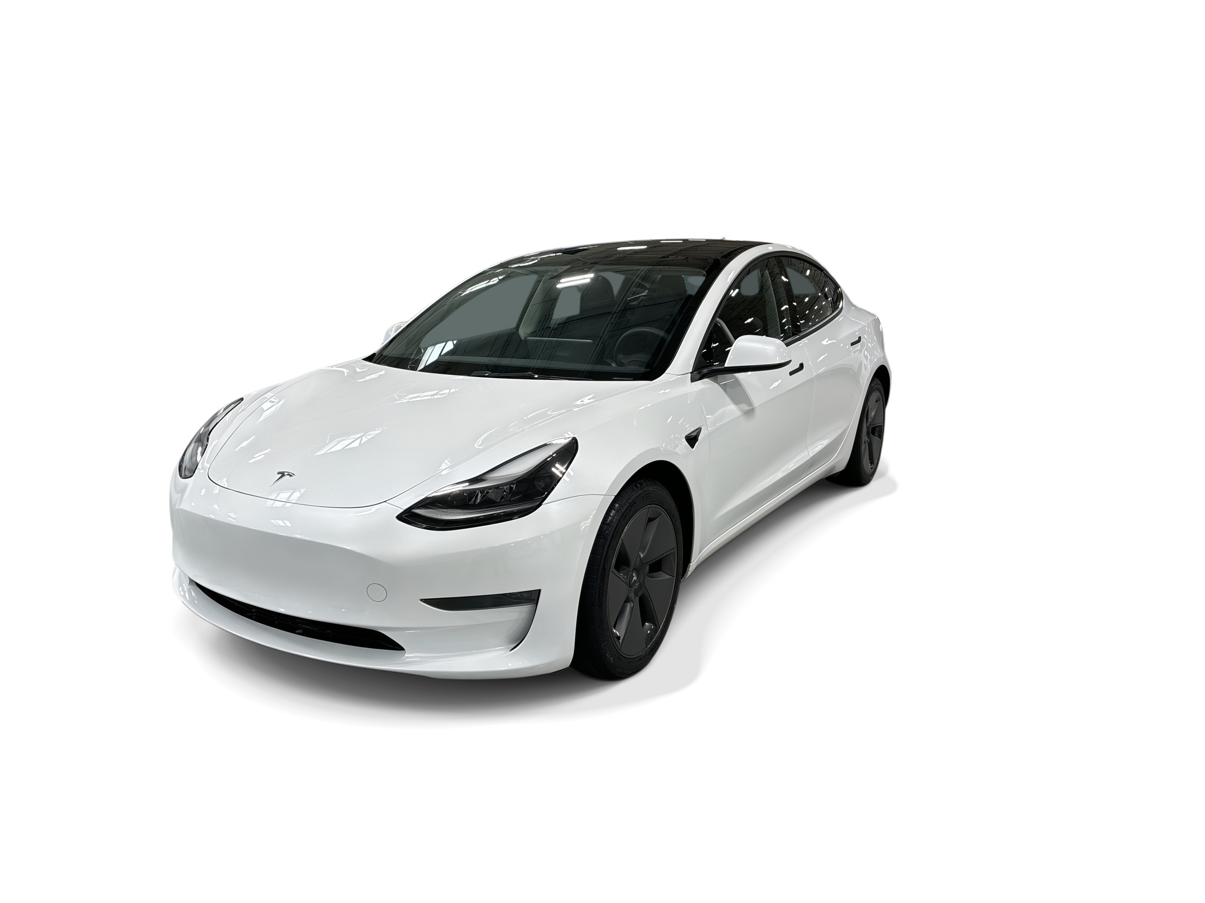tesla model 3 2023 5YJ3E1EA1PF509516 image tesla model 3 2023 5YJ3E1EA1PF509516 image